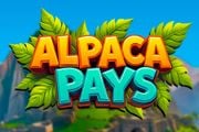 Alpaca Pays